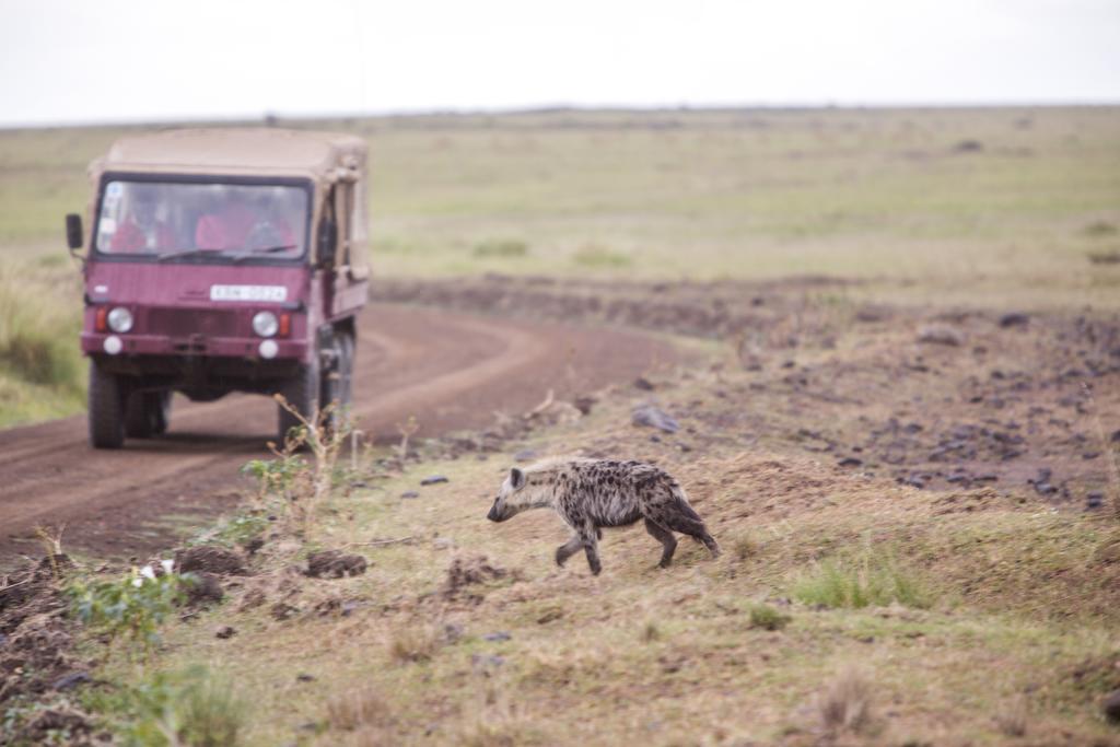 Mara Engai Lodge Lolgorien Eksteriør bilde