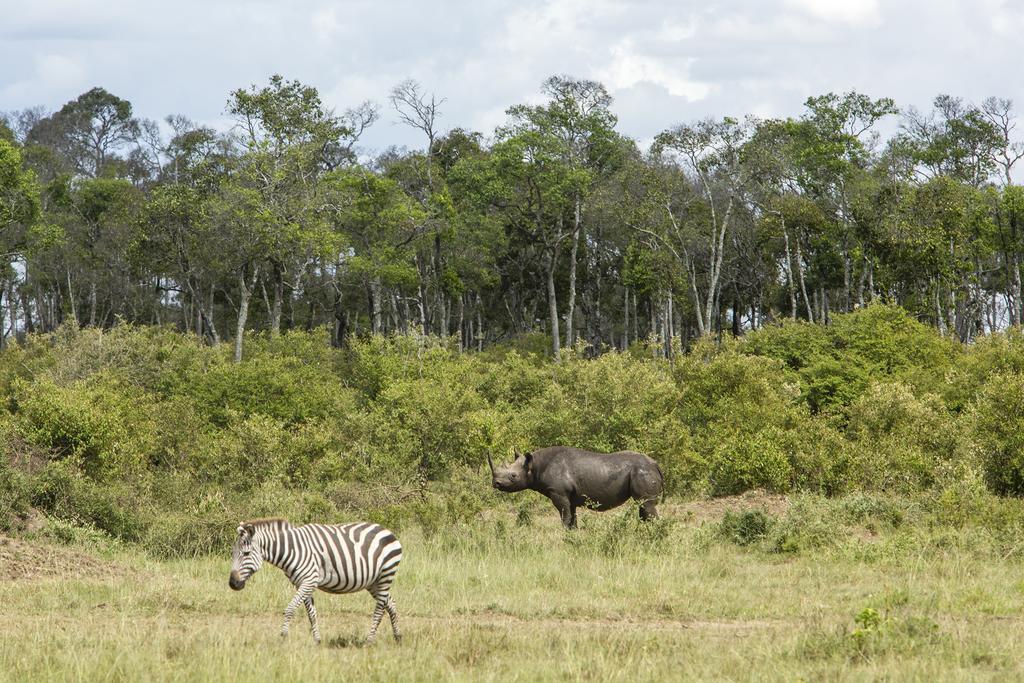 Mara Engai Lodge Lolgorien Eksteriør bilde