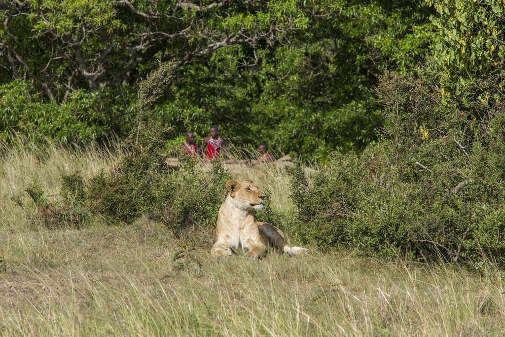 Mara Engai Lodge Lolgorien Eksteriør bilde