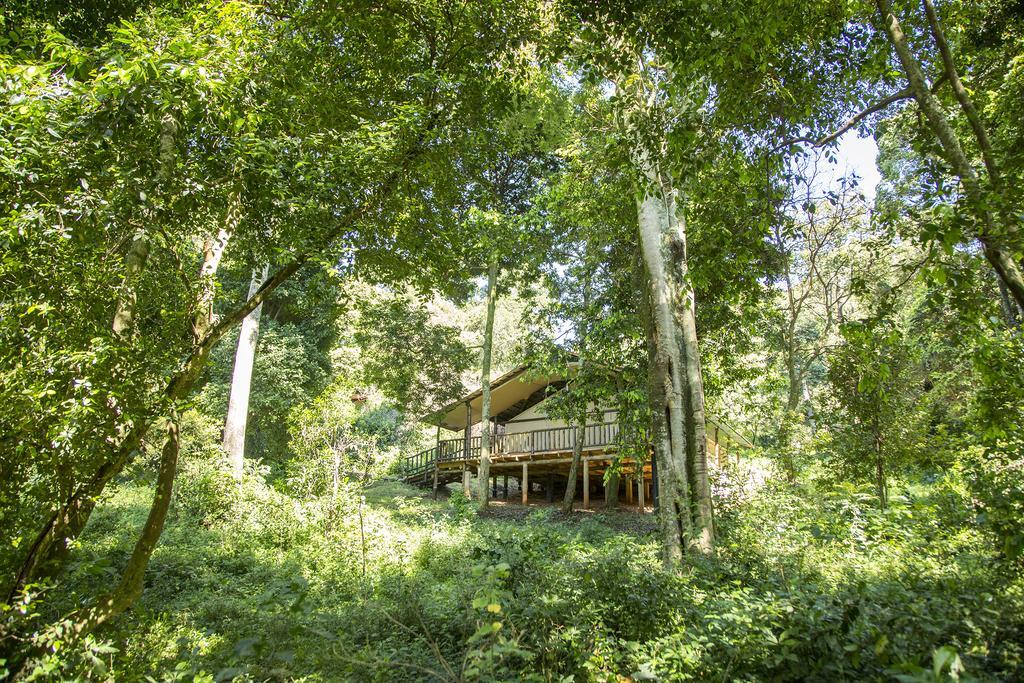 Mara Engai Lodge Lolgorien Eksteriør bilde